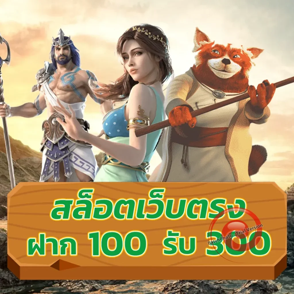เว็บ zo-niix