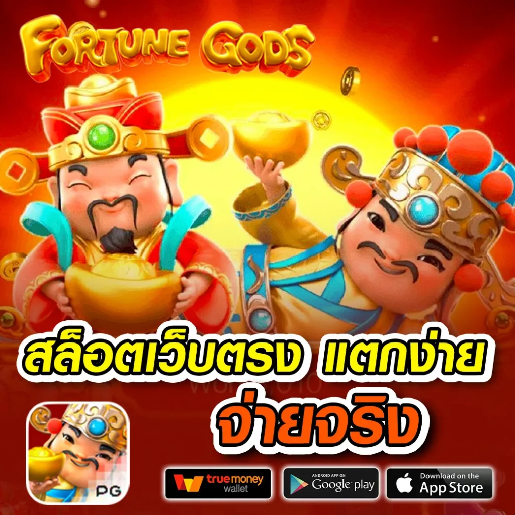 zoni ix แตกบ่อย